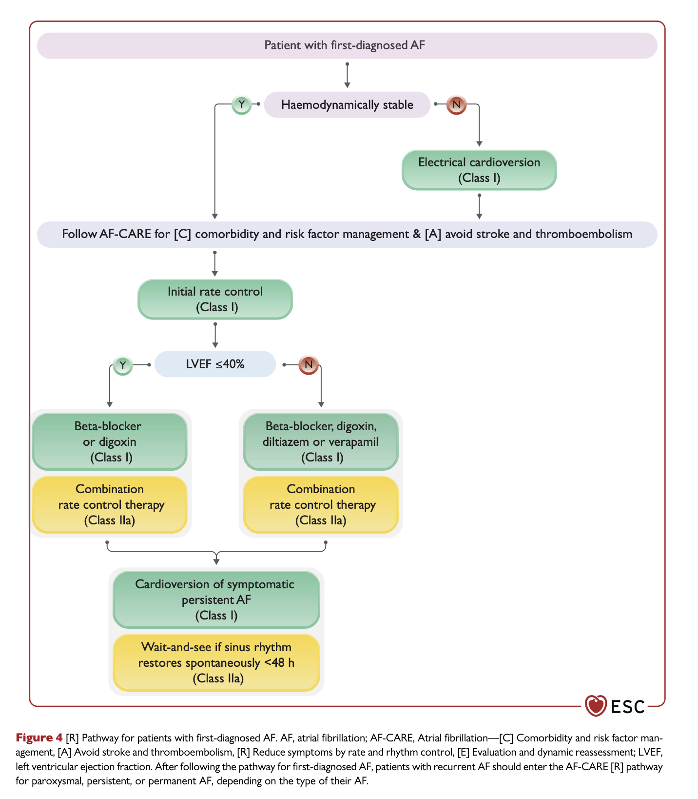 First-diagnosed AF pathway