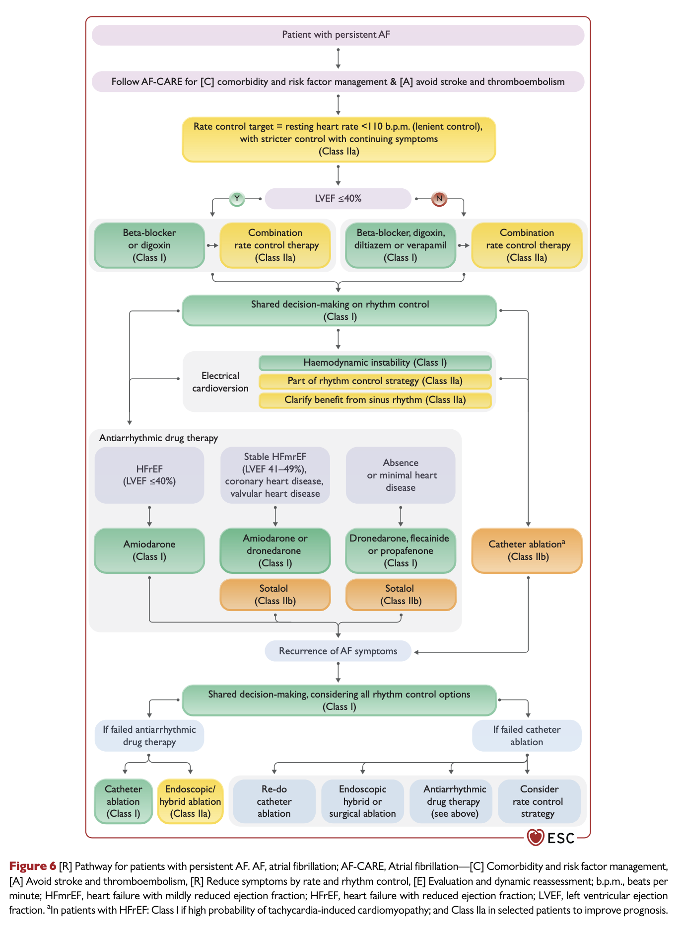 Persistent AF pathway